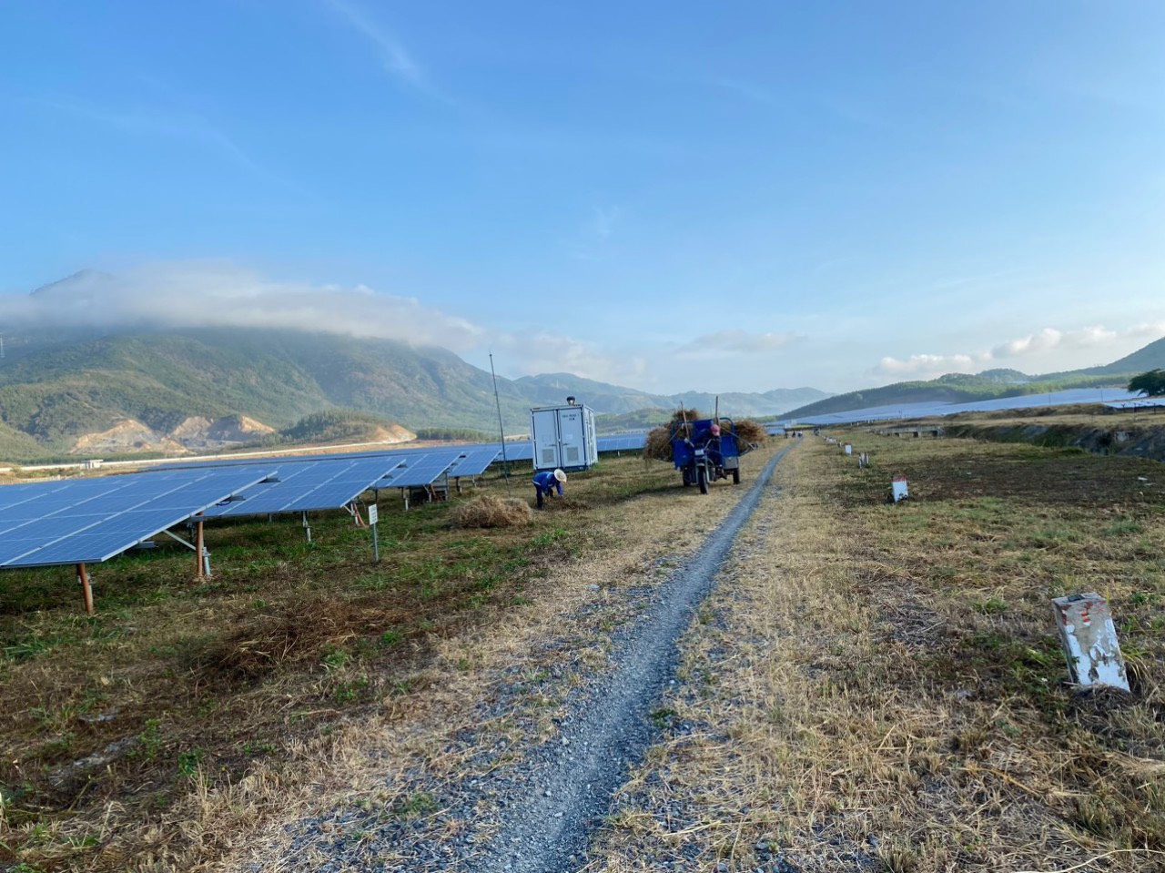 Dịch vụ cắt cỏ định kỳ cho dự án điện mặt trời tại Cam Lâm 